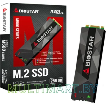 SSD диск BIOSTAR M500 256GB (M500-256GB)